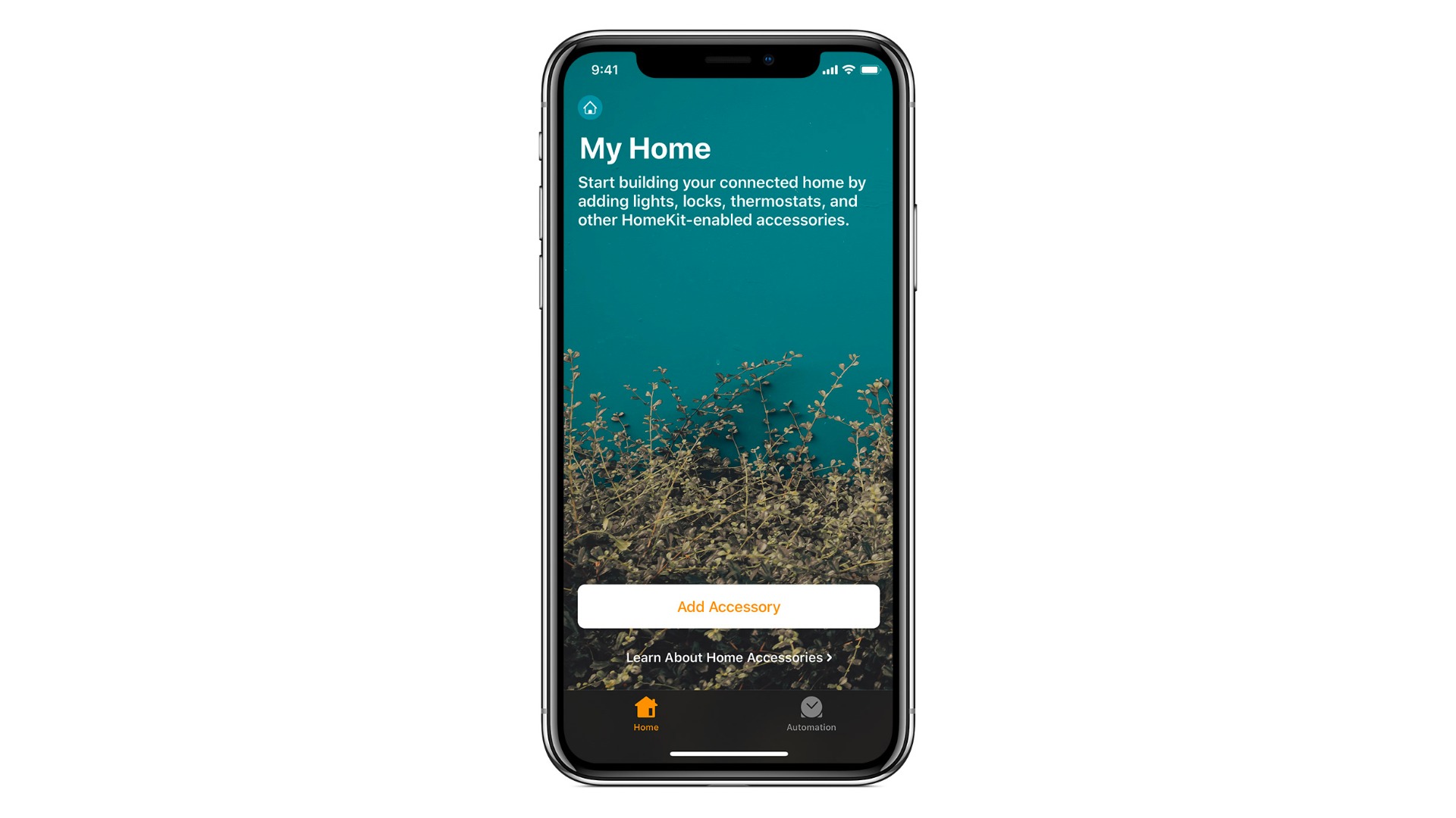 aplicația home pe iOS