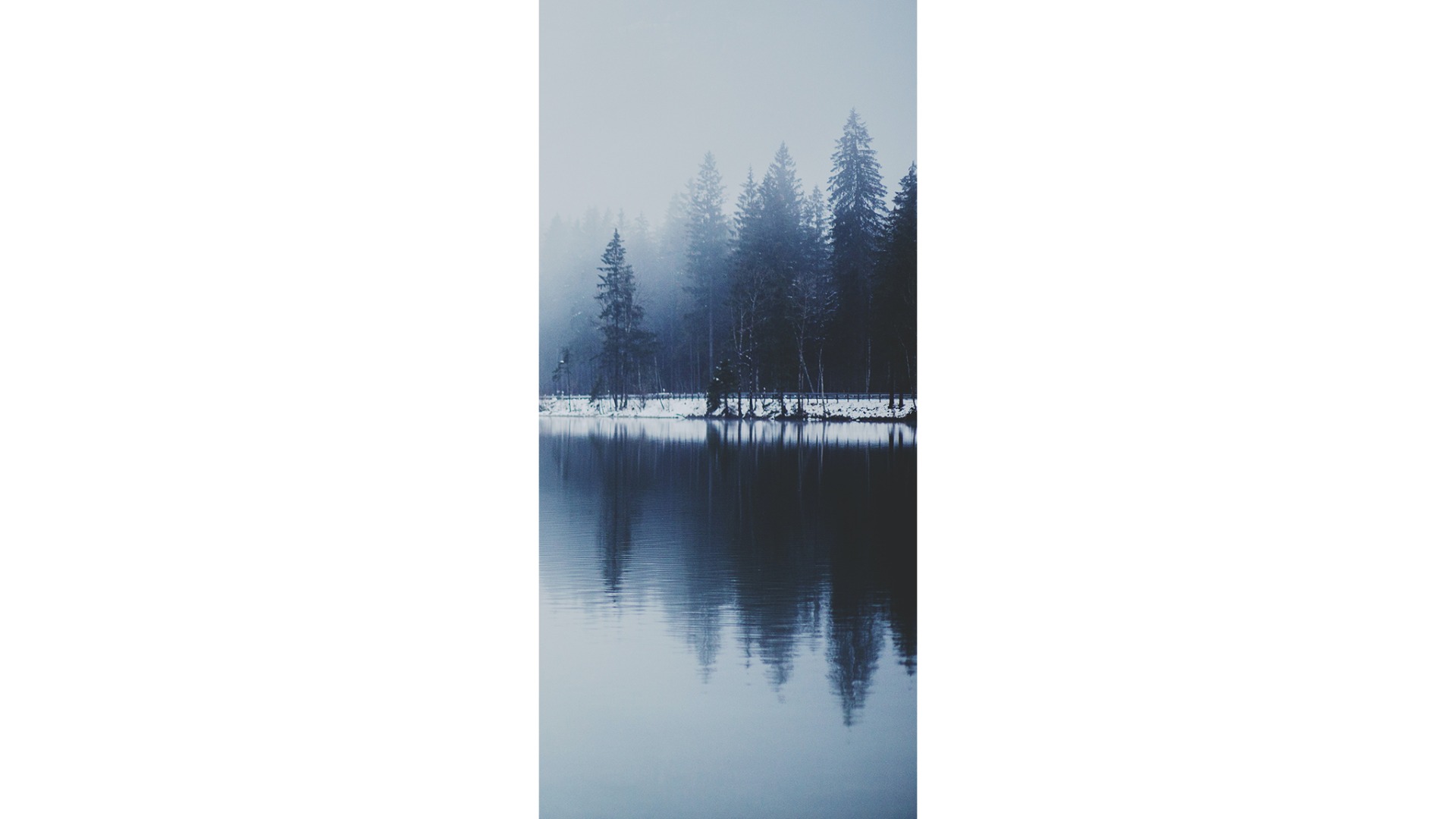 fotografie de iarna padure cu lac