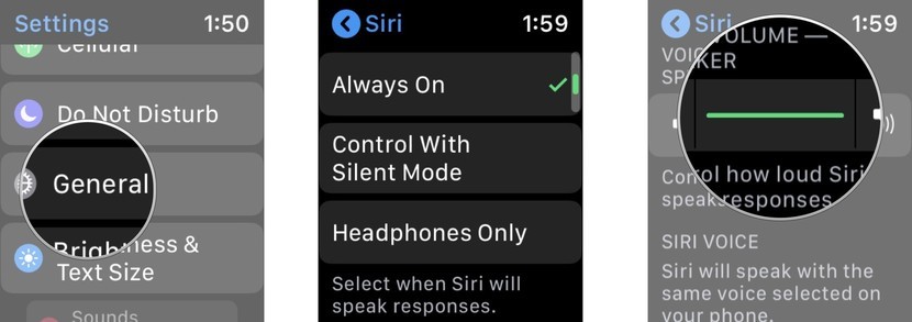 meniu volum siri